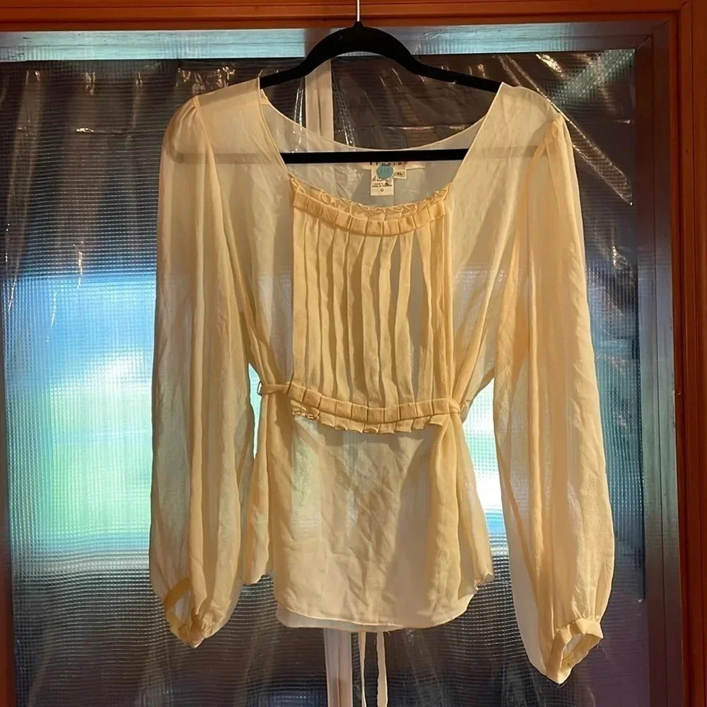 Studio M, Woman’s Sheer Blouse, Sz XL, Excellent Condition